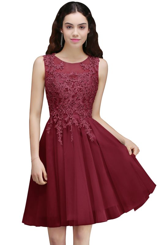 Modern Short A-line Lace Appliques Homecoming Dress