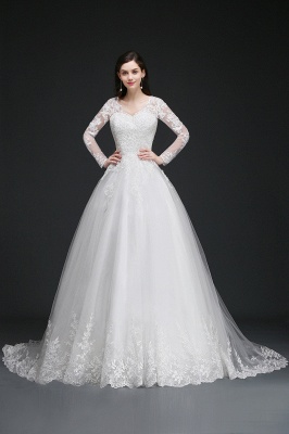 V-Neck Ball Gown Lace Tulle Wedding Dresses_3