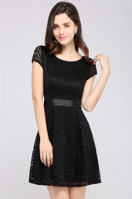 Cheap Scoop A-line Lace Homecoming Dress_10