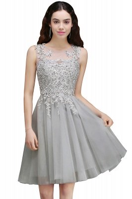 Modern Short A-line Lace Appliques Homecoming Dress_3
