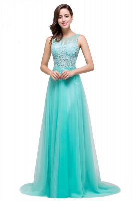 A-line Court Train Tulle Evening Dress with Appliques_13