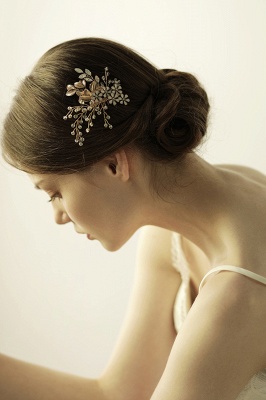Elegant Alloy＆Rhinestone Daily Wear Combs-Barrettes Headpiece with Crystal