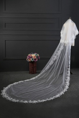 Elegant Tulle lace Applique Edge 3*1.5M Wedding Gloves_4