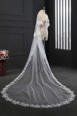 Elegant Tulle lace Applique Edge 3*1.5M Wedding Gloves_1