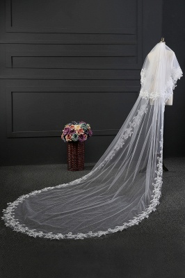 Elegant Tulle lace Applique Edge 3*1.5M Wedding Gloves_5