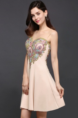 A-line Scoop Chiffon Short Homecoming Dress With Appliques_6