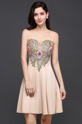 A-line Scoop Chiffon Short Homecoming Dress With Appliques_4