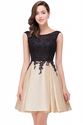Short A-line Lace Appliques Sleeveless Prom Dresses_1