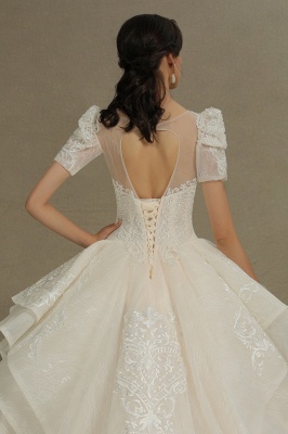 Chic Short Sleeves Tulle Lace Appliques Bridal Gown Spring Garden Wedding Dress_9