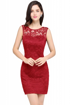 Cheap Scoop Sheath Lace Homecoming Dresses_1