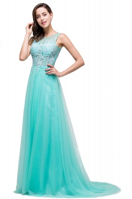 A-line Court Train Tulle Evening Dress with Appliques_1