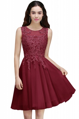 Modern Short A-line Lace Appliques Homecoming Dress_2