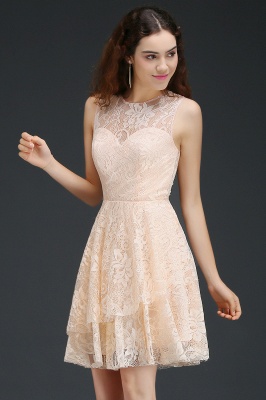Short A-line Lace Homecoming Dress_5