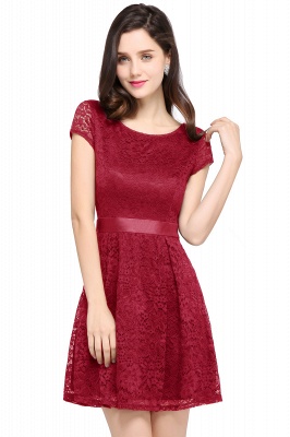 Cheap Scoop A-line Lace Homecoming Dress_2