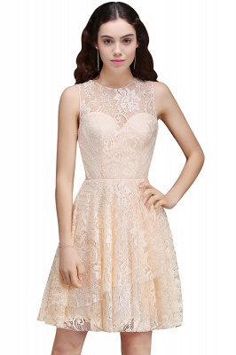 Short A-line Lace Homecoming Dress_1