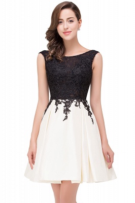 Short A-line Lace Appliques Sleeveless Prom Dresses_2