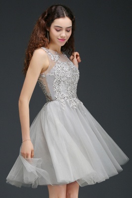 Modern Short A-line Lace Appliques Homecoming Dress_6