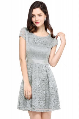 Cheap Scoop A-line Lace Homecoming Dress_7