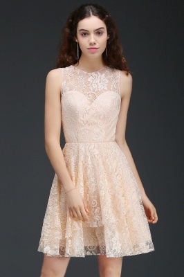 Short A-line Lace Homecoming Dress_4