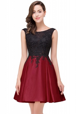 Short A-line Lace Appliques Sleeveless Prom Dresses_5
