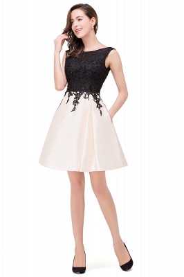 Short A-line Lace Appliques Sleeveless Prom Dresses_10