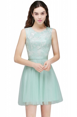 A-line  Pink Tulle Short Homecoming Dresses with Lace Appliques_3