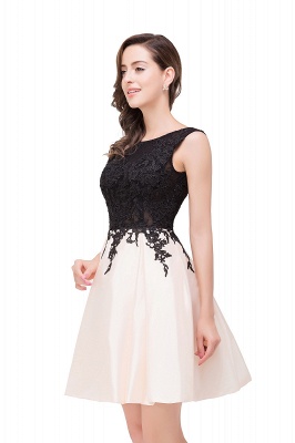 Short A-line Lace Appliques Sleeveless Prom Dresses_11