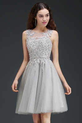 Modern Short A-line Lace Appliques Homecoming Dress_7