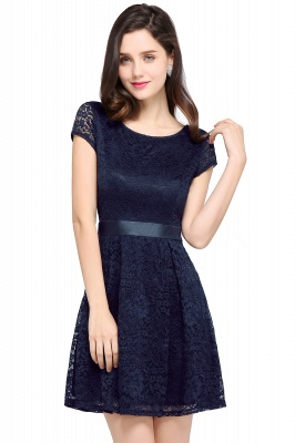 Cheap Scoop A-line Lace Homecoming Dress_5