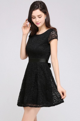 Cheap Scoop A-line Lace Homecoming Dress_13