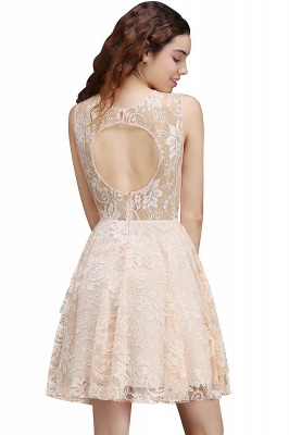 Short A-line Lace Homecoming Dress_3