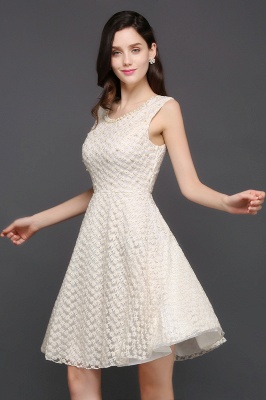 Sexy Lace Princess Scoop neck Knee-length  Prom Dress_4