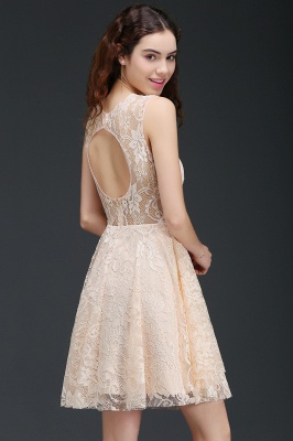 Short A-line Lace Homecoming Dress_7