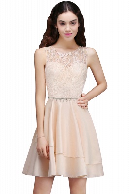 Short A-line Cute Lace Homecoming Dress_1