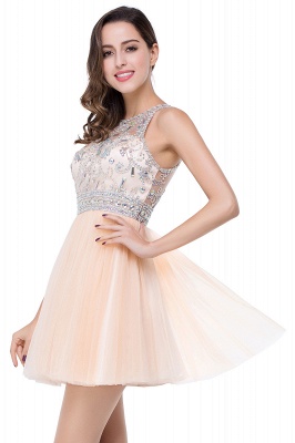 A-line Crew Sleeveless Tulle Short Prom Dresses with Beadings_6