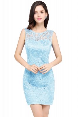 Cheap Scoop Sheath Lace Homecoming Dresses_4