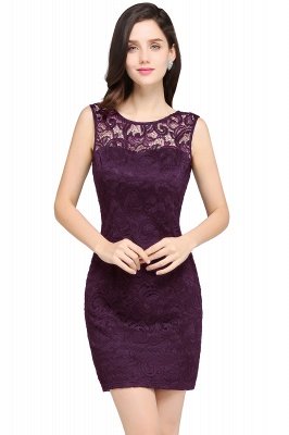 Cheap Scoop Sheath Lace Homecoming Dresses_2