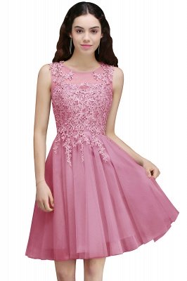 Modern Short A-line Lace Appliques Homecoming Dress_1