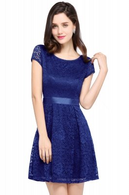 Cheap Scoop A-line Lace Homecoming Dress_4